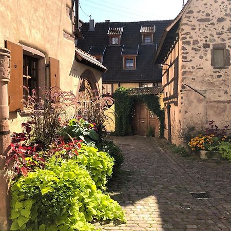 Les Gites Coeur De Vigne Riquewihr Exteriör bild