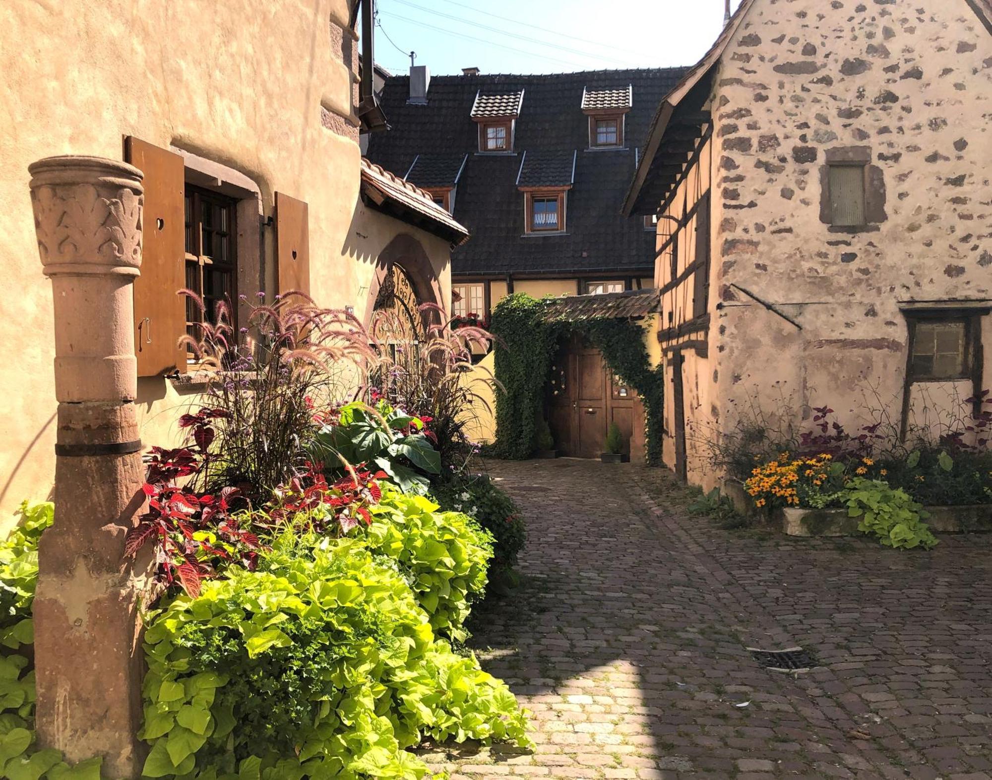 Les Gites Coeur De Vigne Riquewihr Exteriör bild